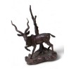Bronze \"Grand Kudu\" par POLLAND