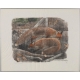 Gravure "Deux renards" signée Robert HAINARD