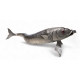 Grand poisson articulé en argent, yeux en verre