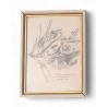 Gravure "Rainette chantant" de Robert HAINARD