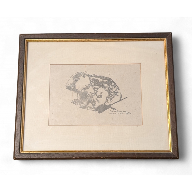 Gravure "Petite marmotte" de Robert HAINARD