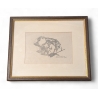 Gravure "Petite marmotte" de Robert HAINARD
