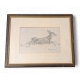 Gravure "Jeune chevreuil" de Robert HAINARD