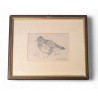 Gravure "Alouette lulu" de Robert HAINARD