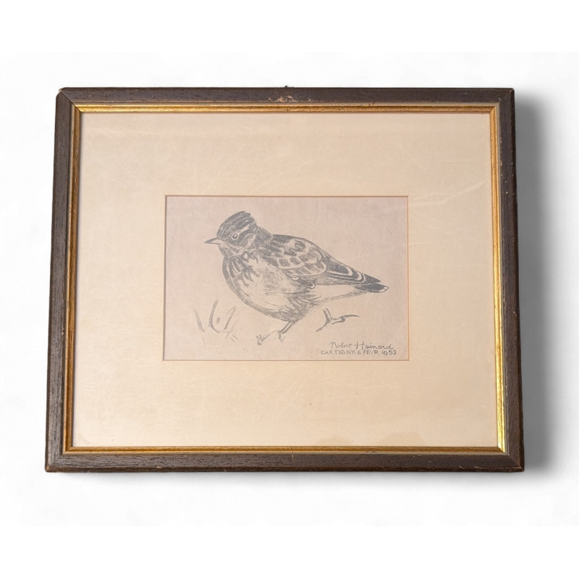 Gravure "Alouette lulu" de Robert HAINARD