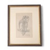 Engraving entitled ‘Tawny Owl’ by Robert HAINARD