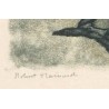 Gravure "Colvert" signée Robert HAINARD