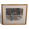 Gravure "Deux blaireaux" signée Robert HAINARD