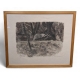 Gravure "Deux blaireaux" signée Robert HAINARD
