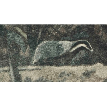 Gravure "Deux blaireaux" signée Robert HAINARD