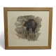 Gravure "Ours" signée Robert HAINARD