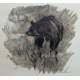 Gravure "Ours" signée Robert HAINARD