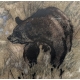 Gravure "Ours" signée Robert HAINARD