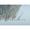 Gravure "Ours" signée Robert HAINARD