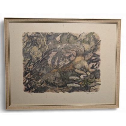 Engraving entitled ‘Golden Vulture’, signed by Robert HAINARD
