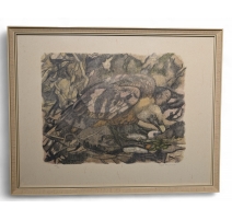 Gravure "Vautour fauve" signée Robert HAINARD