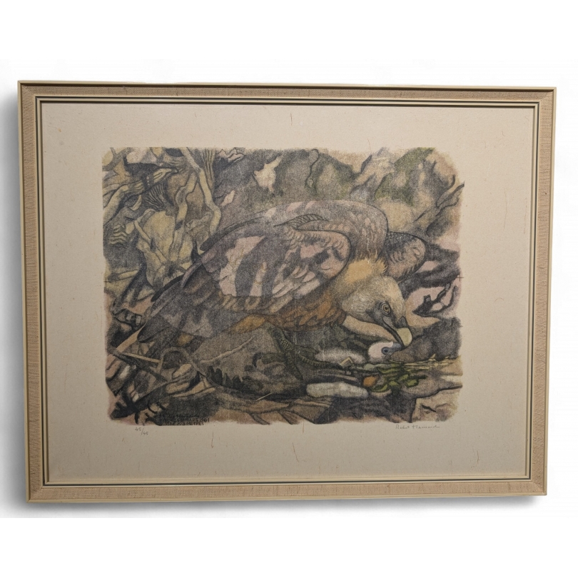 Gravure "Vautour fauve" signée Robert HAINARD