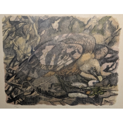 Engraving entitled ‘Golden Vulture’, signed by Robert HAINARD