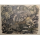 Gravure "Vautour fauve" signée Robert HAINARD