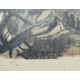 Gravure "Vautour fauve" signée Robert HAINARD