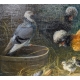 Tableau "Basse-cour" signé Jul. SCHEUERER