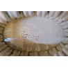 Series of vases by  Moinat SA  - Antiques and home décor