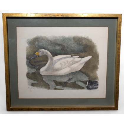 Engraving entitled ‘Bewick’s Swan’, signed by Robert HAINARD