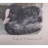 Engraving entitled ‘Bewick’s Swan’, signed by Robert HAINARD