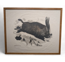Gravure "Grand sanglier" signée Robert HAINARD
