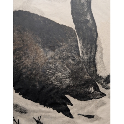 Engraving entitled ‘Grand sanglier’, signed by Robert HAINARD