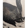 Engraving entitled ‘Grand sanglier’, signed by Robert HAINARD