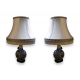 Paire de lampes chinoises