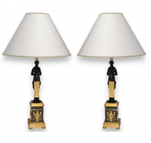 Paire de lampes en bronze doré patiné