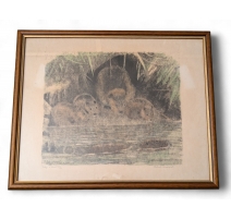 Gravure "Famille de castors" signé Robert HAINARD