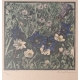 Gravure "Gentianes" signé Robert HAINARD