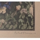 Gravure "Gentianes" signé Robert HAINARD