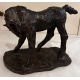 Bronze "Poulain" signé Pierre BLANC