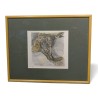 "Chabot" engraving, signed HAINARD