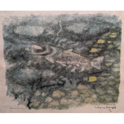 Gravure "Truite gobant" signée HAINARD