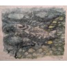 Gravure "Truite gobant" signée HAINARD