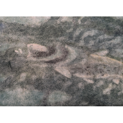Gravure "Truite gobant" signée HAINARD