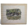 Engraving entitled ‘Coot and Chicks’, signed HAINARD