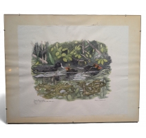 Gravure "Foulque et poussins" signée HAINARD