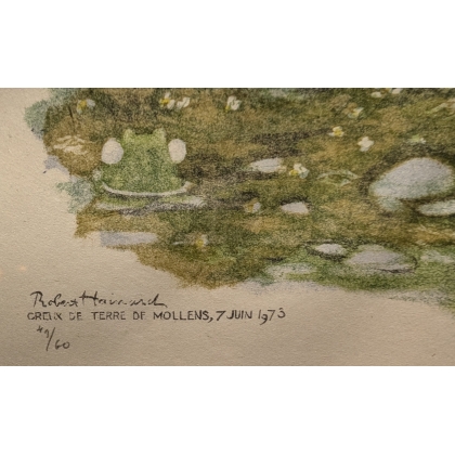 Engraving entitled ‘Coot and Chicks’, signed HAINARD