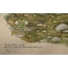 Engraving entitled ‘Coot and Chicks’, signed HAINARD