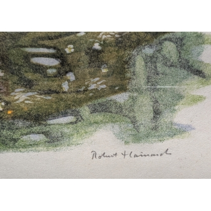 Engraving entitled ‘Coot and Chicks’, signed HAINARD