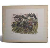 Gravure "Le coucher des étourneaux" signée HAINARD
