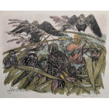 Engraving entitled ‘The Sunset of the Starlings’, signed HAINARD