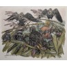 Engraving entitled ‘The Sunset of the Starlings’, signed HAINARD