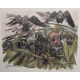 Gravure "Le coucher des étourneaux" signée HAINARD